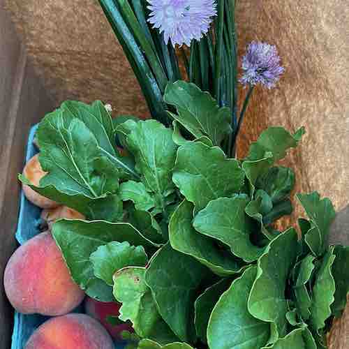 Products from Huarache Farms' CSA